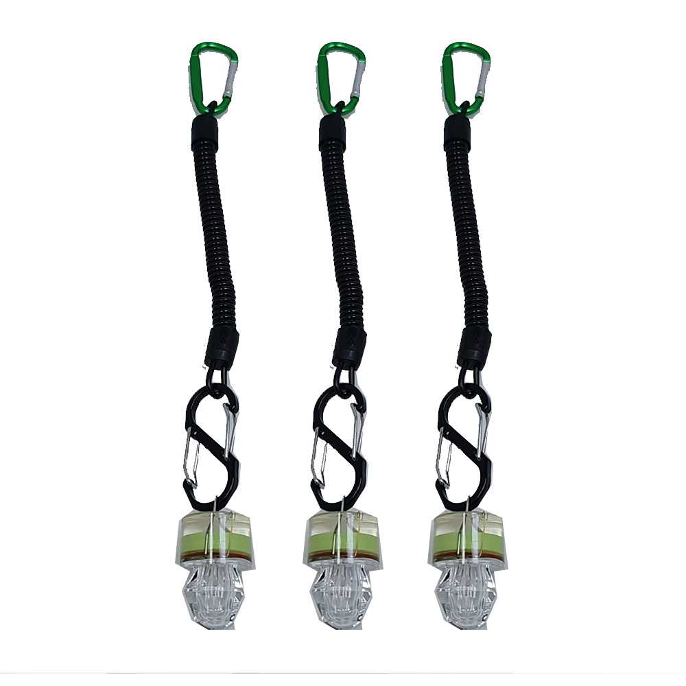 2-3PCS LED Fishing Lights With - Fish Alarm ulasan dan harga