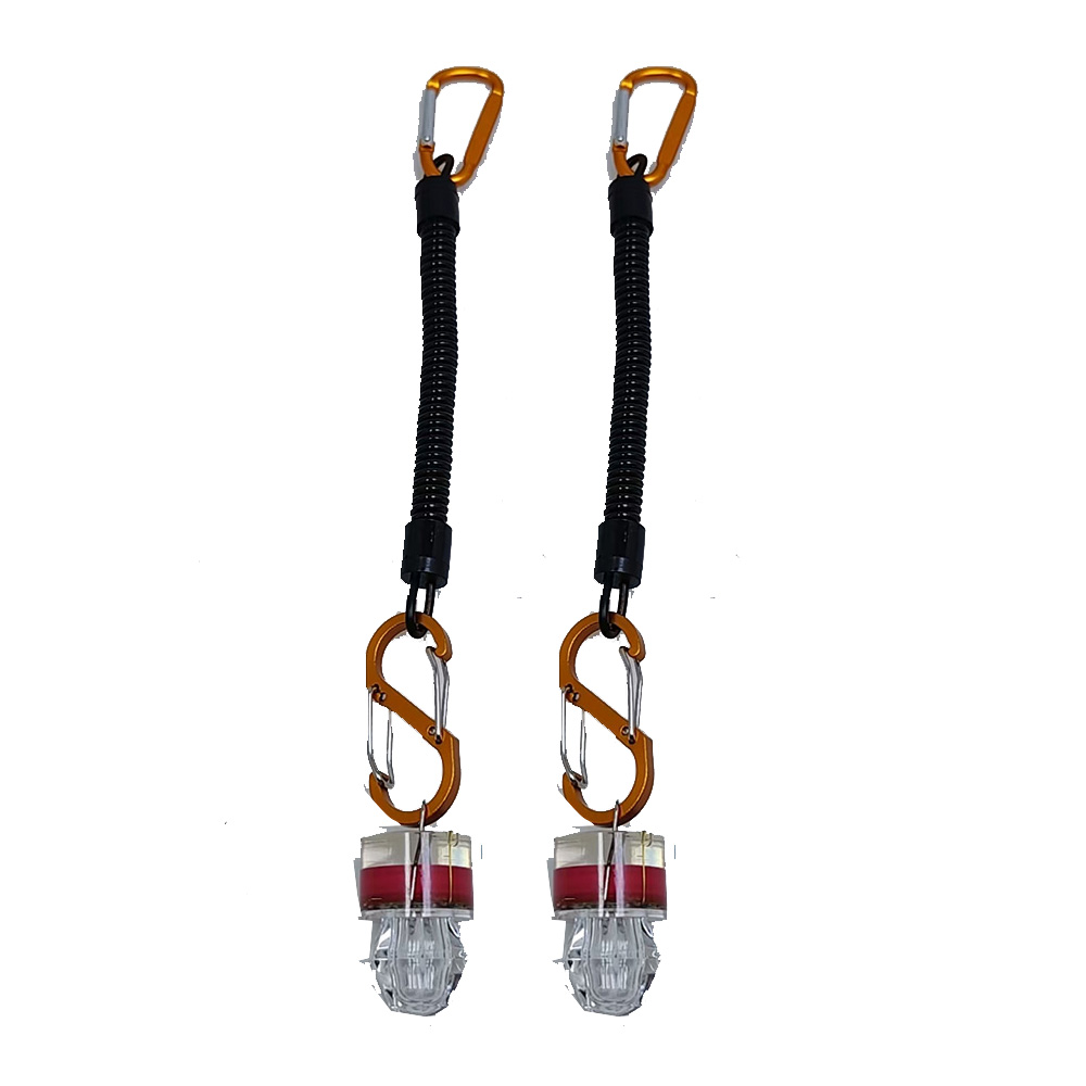 2-3PCS LED Fishing Lights With - Fish Alarm ulasan dan harga